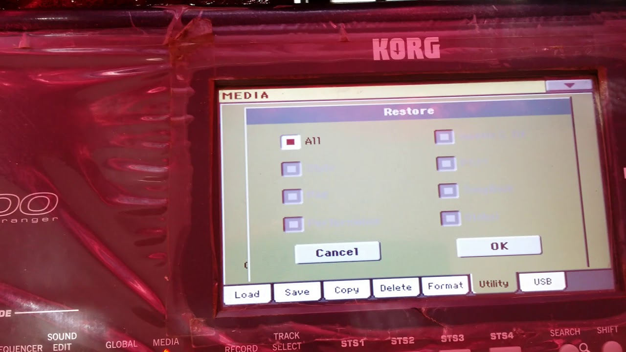 borrar ritmos y samples en korg pa 600 800 900 300 1000