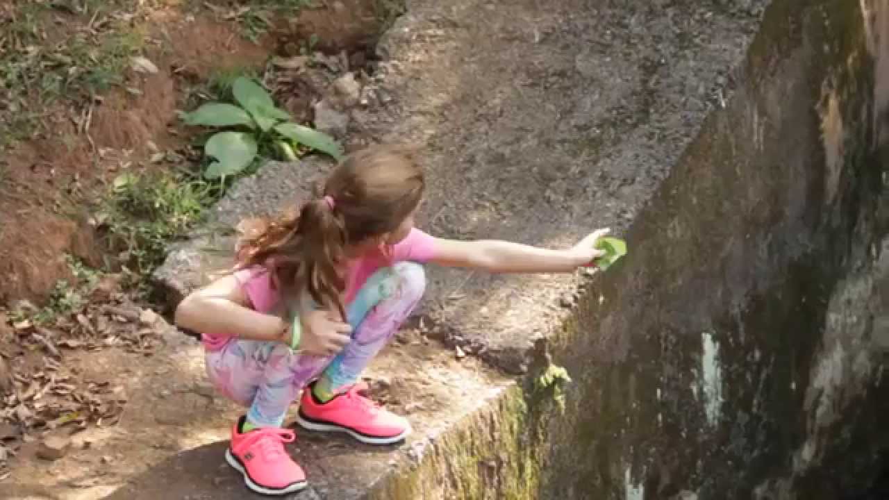 Campanha: MOSTRA RIOS E RUAS NO IBIRAPUERA