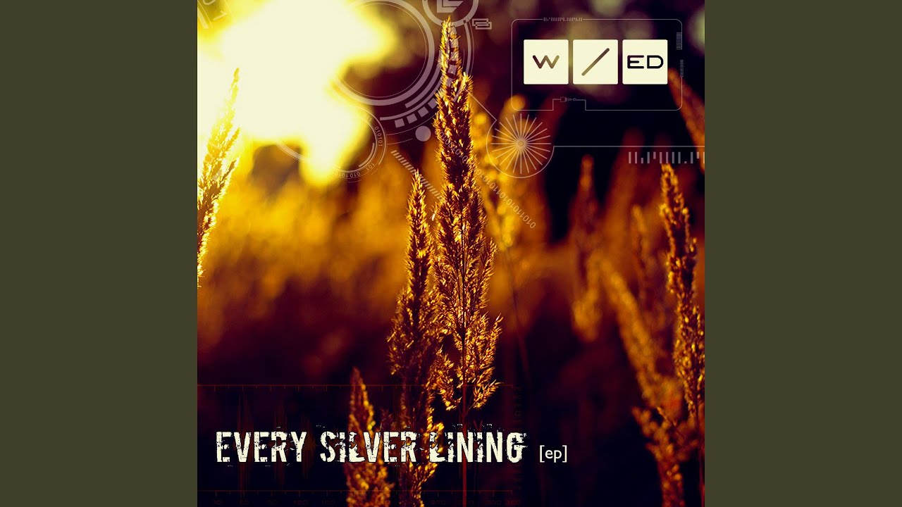 Let Is Get Entwined [Vulture Bay Mix] feat. Patrik Hansson