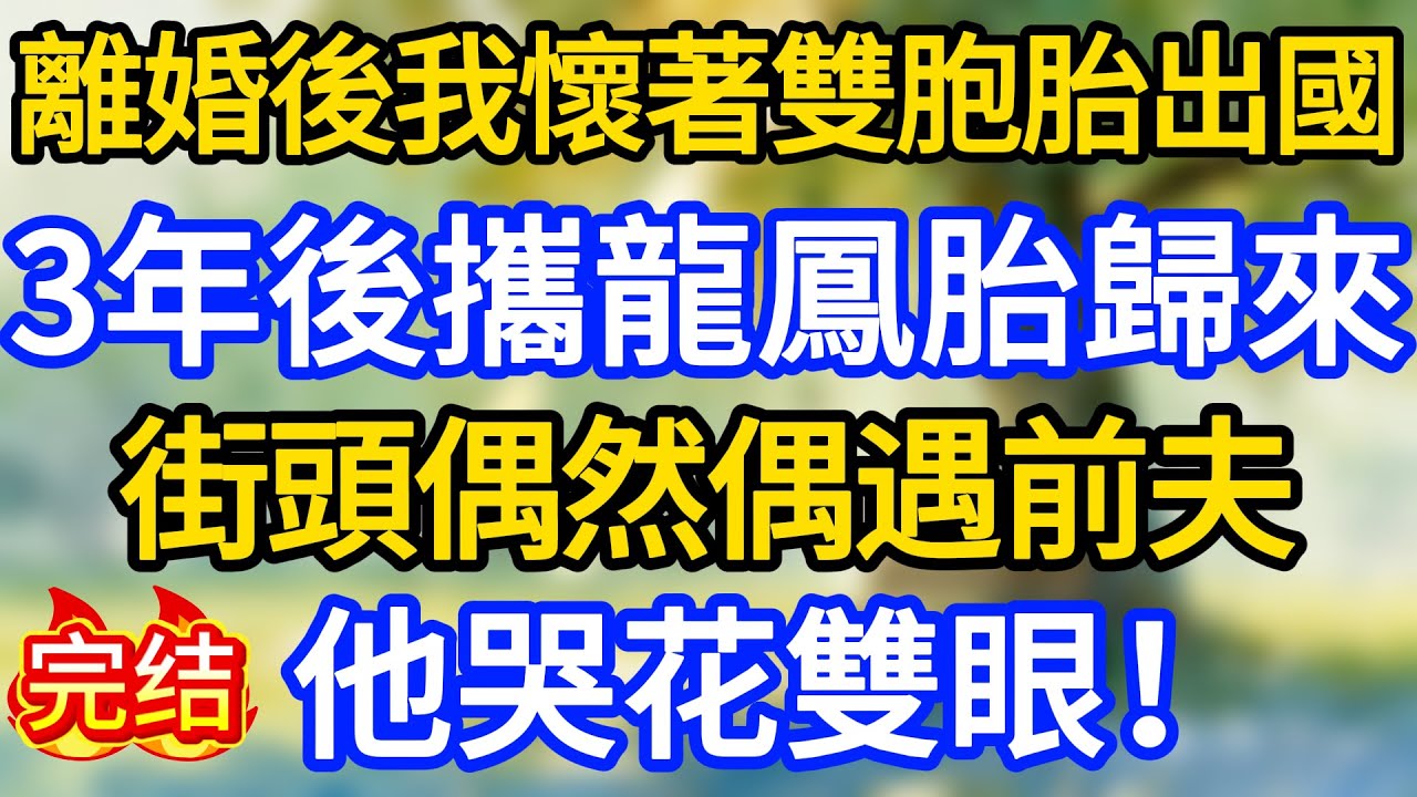 離婚後我懷著雙胞胎出國，3年後攜龍鳳胎歸來，街頭偶然偶遇前夫，他哭花雙眼！