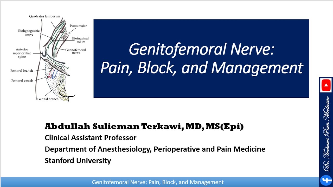 Genitofemoral Nerve: Pain, Block, and Management