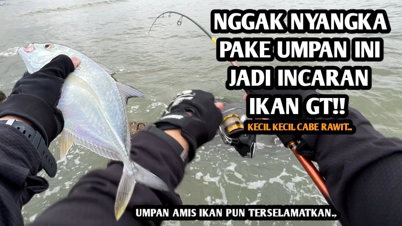UMPAN PENAKLUK SPOT DAN IKAN VIRAL!! Mancing baby GT pake umpan swim spot tetra Congot