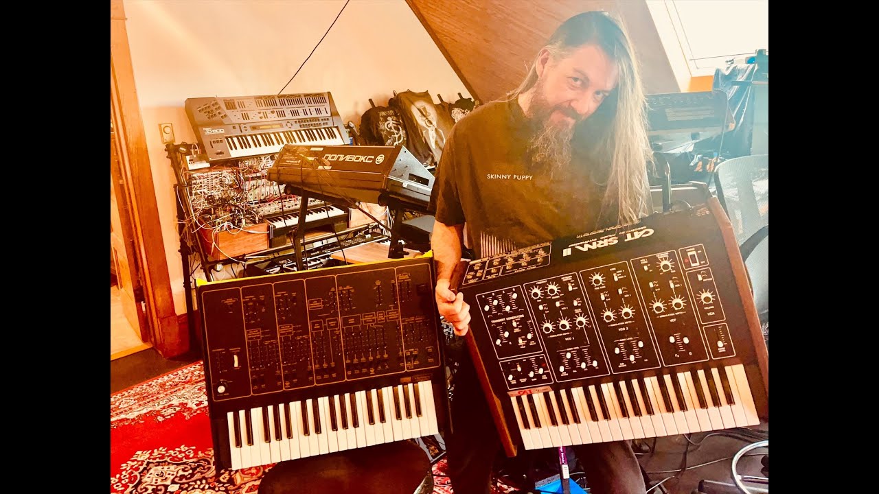 FINALLY! The ARP Odyssey vs Octave Cat synth comparison 