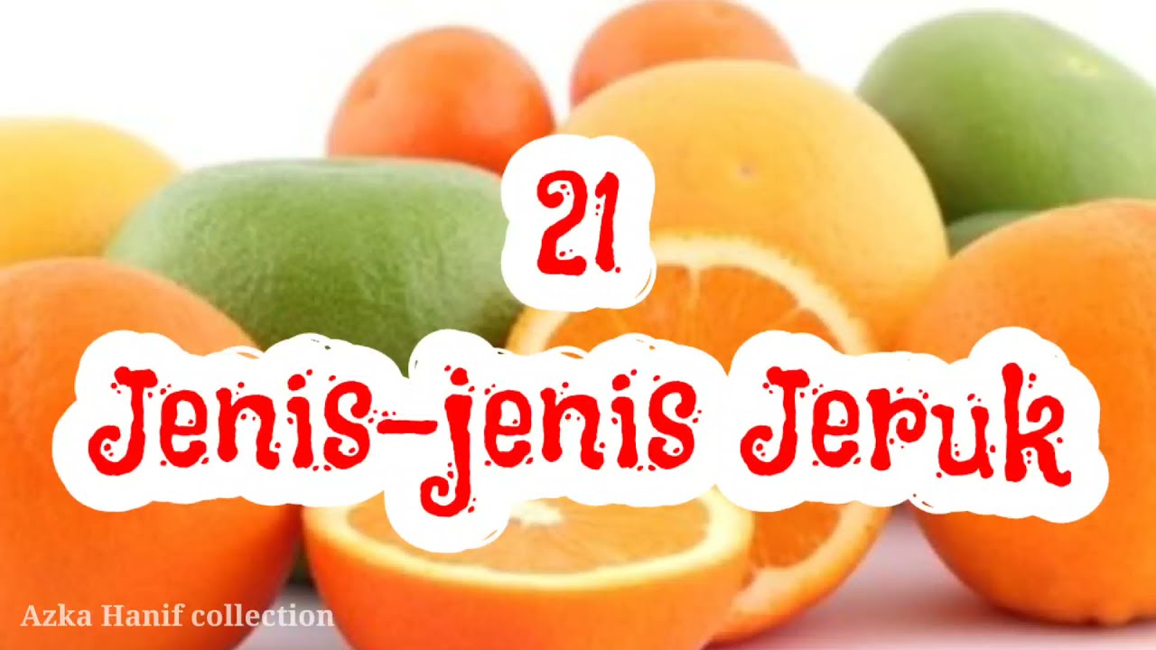 21 Jenis jeruk, ada yang unik loh