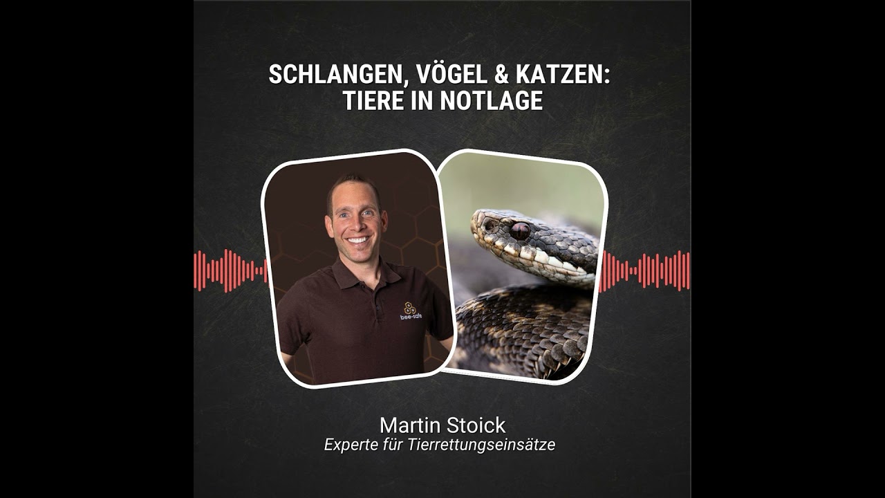 #107: Schlangen, Vögel & Katzen: Tiere in Notlage