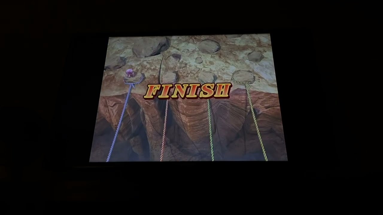 Mario Party 8 - Flip-Out Frenzy