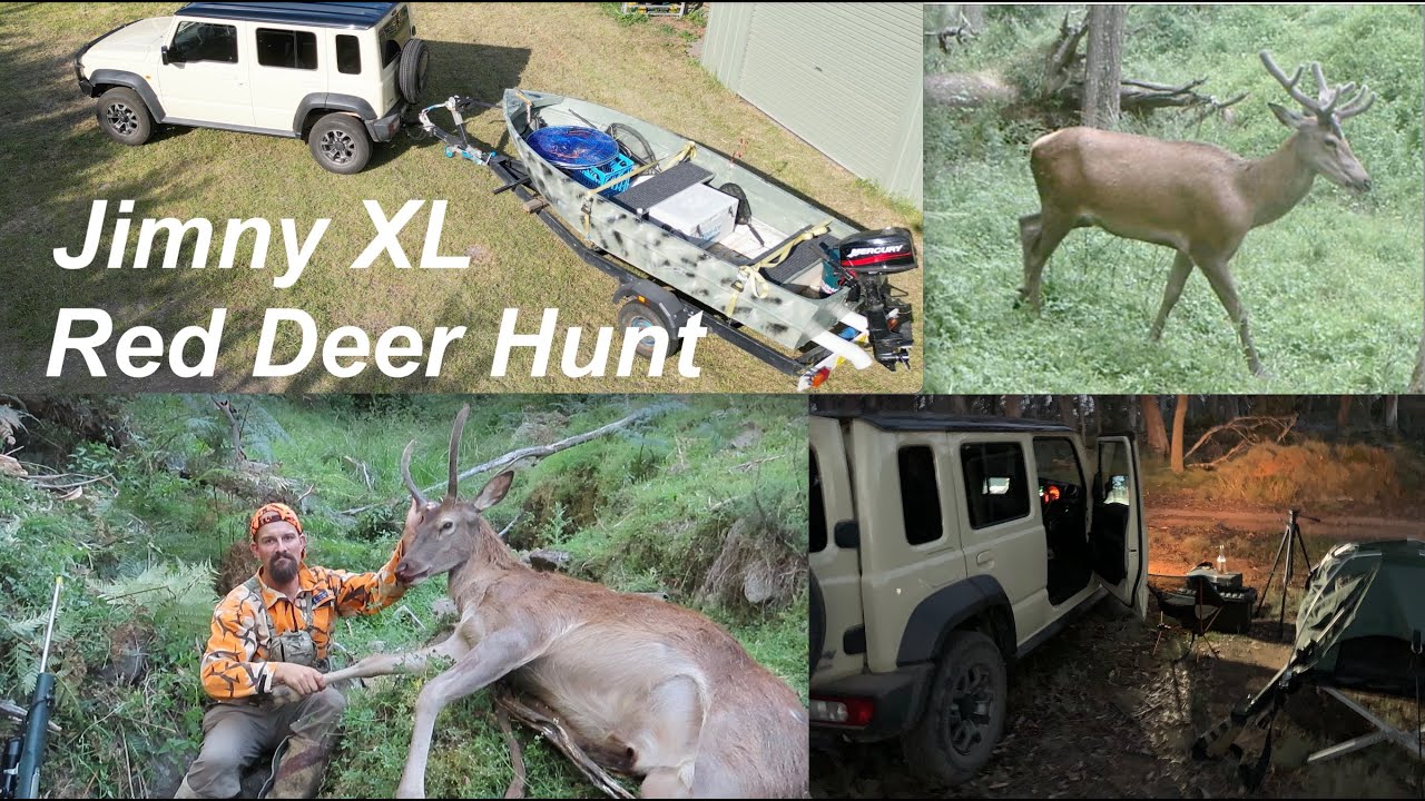 State Forest Summer Red Deer | Jimny XL - New Rig Rundown
