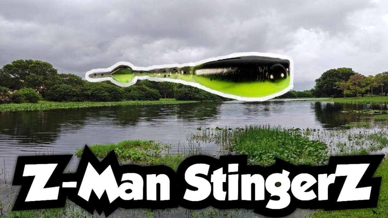Fishing with the Z-Man StingerZ | Micro Finesse Fishing
