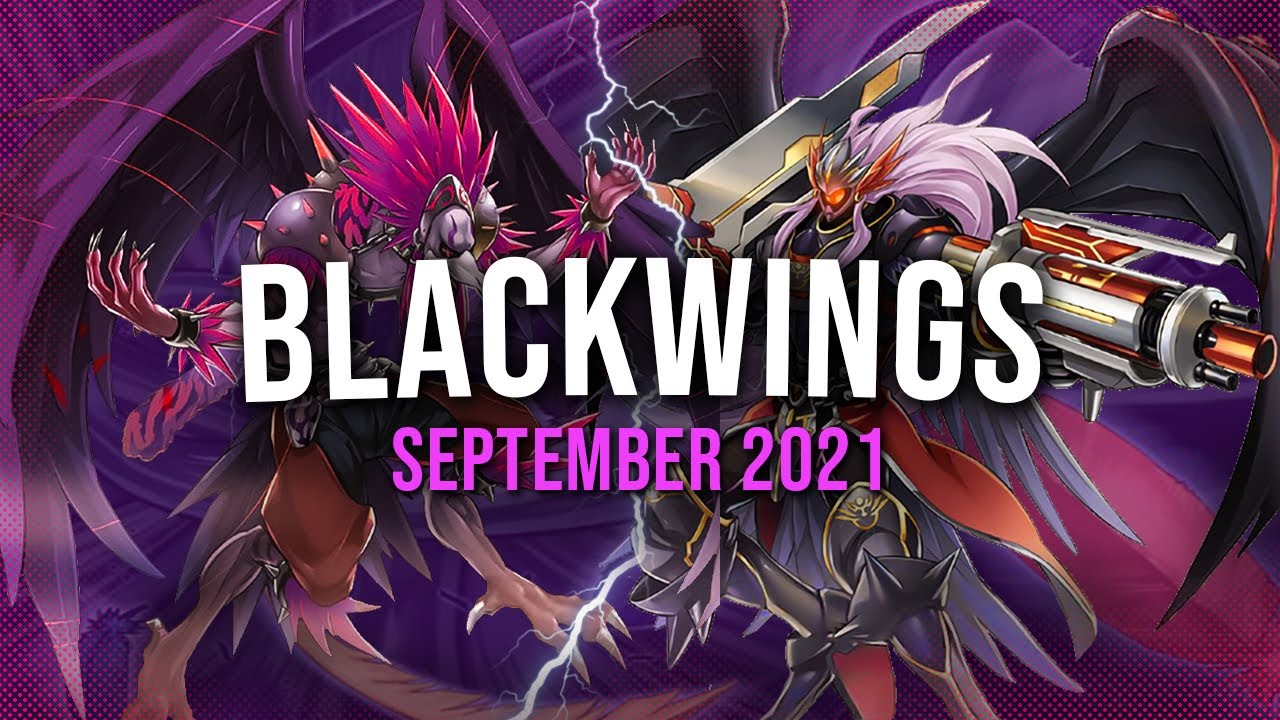 Yu-Gi-Oh! Competitive Blackwing Deck Profile + Combo Tutorial! (September 2021)