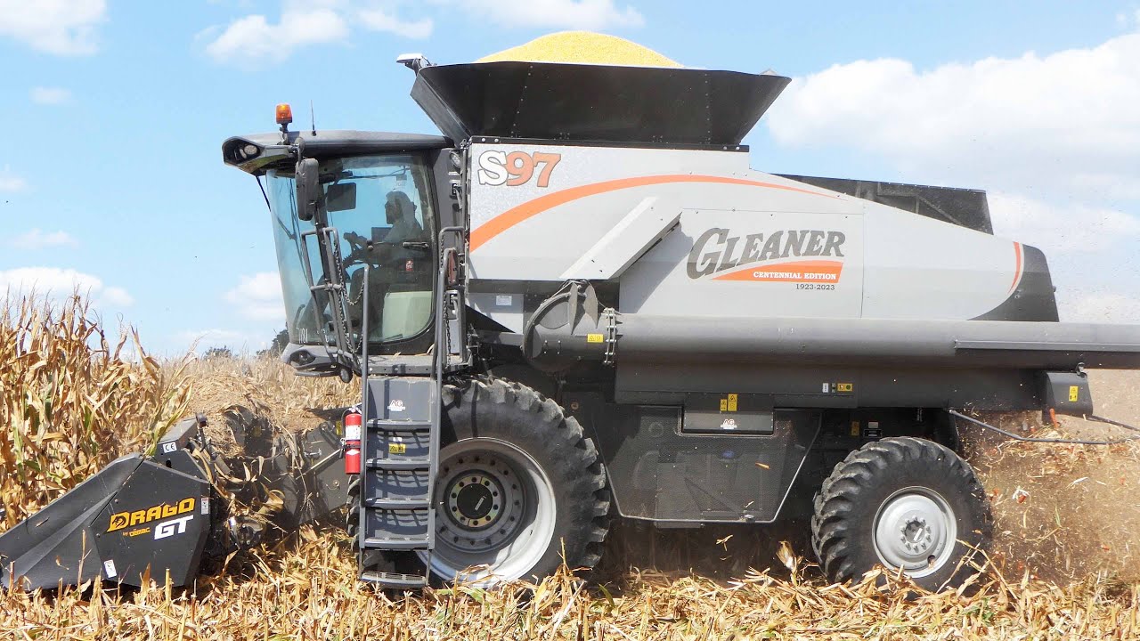 GLEANER S97 CENTENNIAL EDITION Harvesting Corn | CORN HARVEST 2024