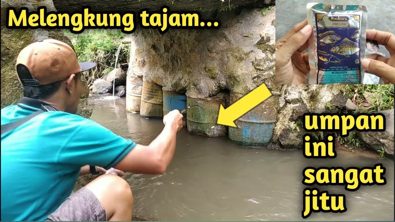 Mancing ikan micro pakai RASBORA... Plung langsung kenyot