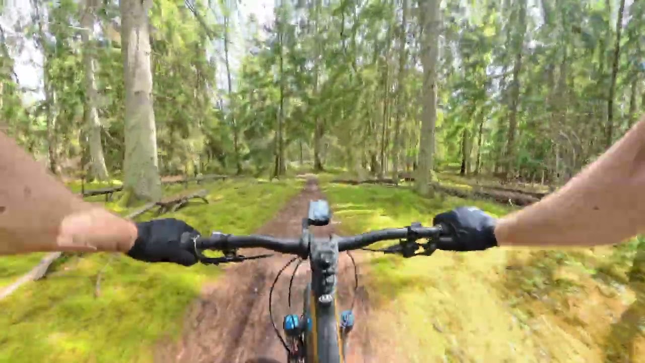 MTB - Tisvilde Hegn: 