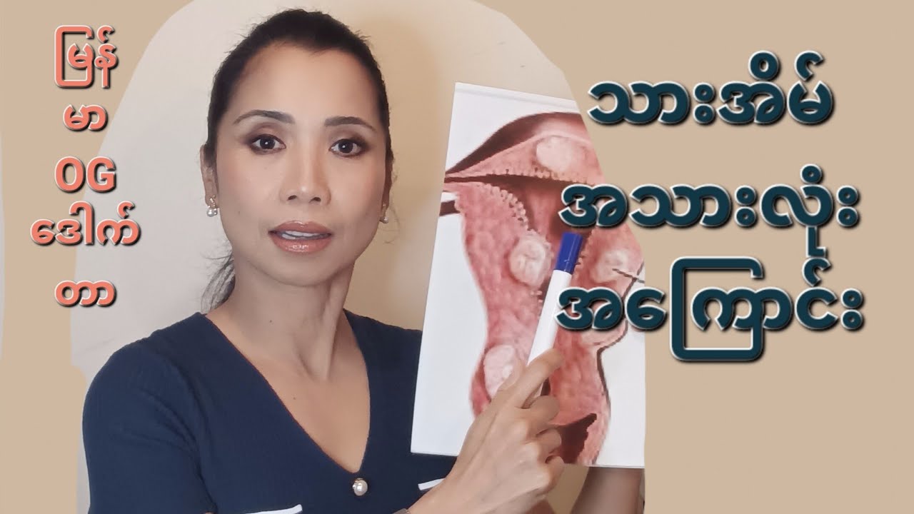 သားအိမ် အသားလုံးတည်ခြင်း 