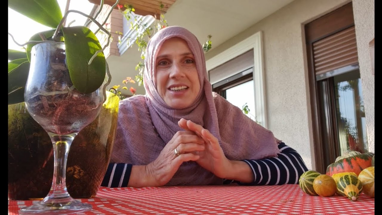 Orkide Bitkisi Bakımı ve Püf Noktaları,Toprak & Saksı Değişimi, İzolasyonu