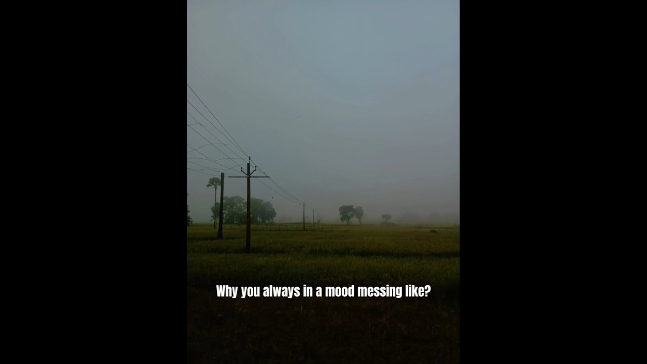 Nature X 24K Goldn Mood lyrics | nice view | relaxing natural beauty. 