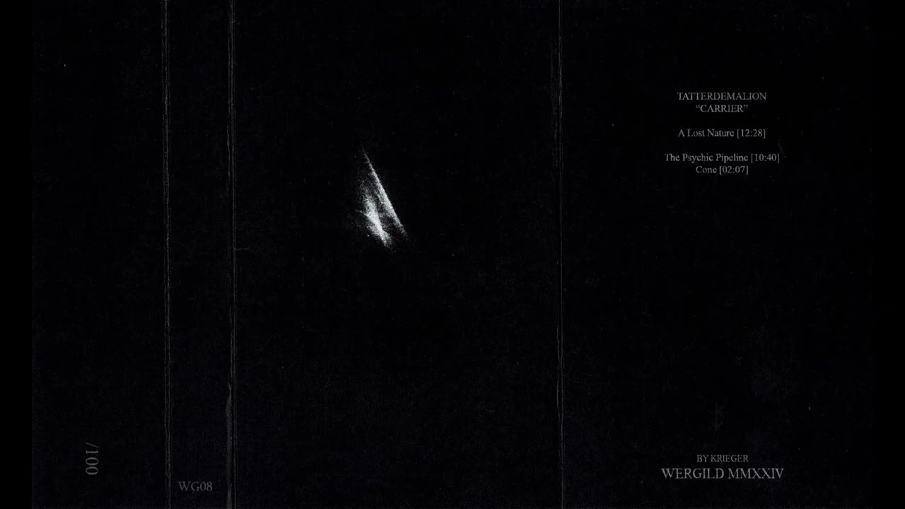 TATTERDEMALION - Carrier (WG08)