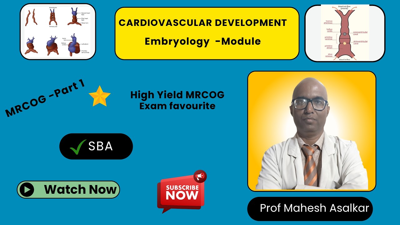 Development of Cardiovascular System | MRCOG Part 1 Embryology Revision