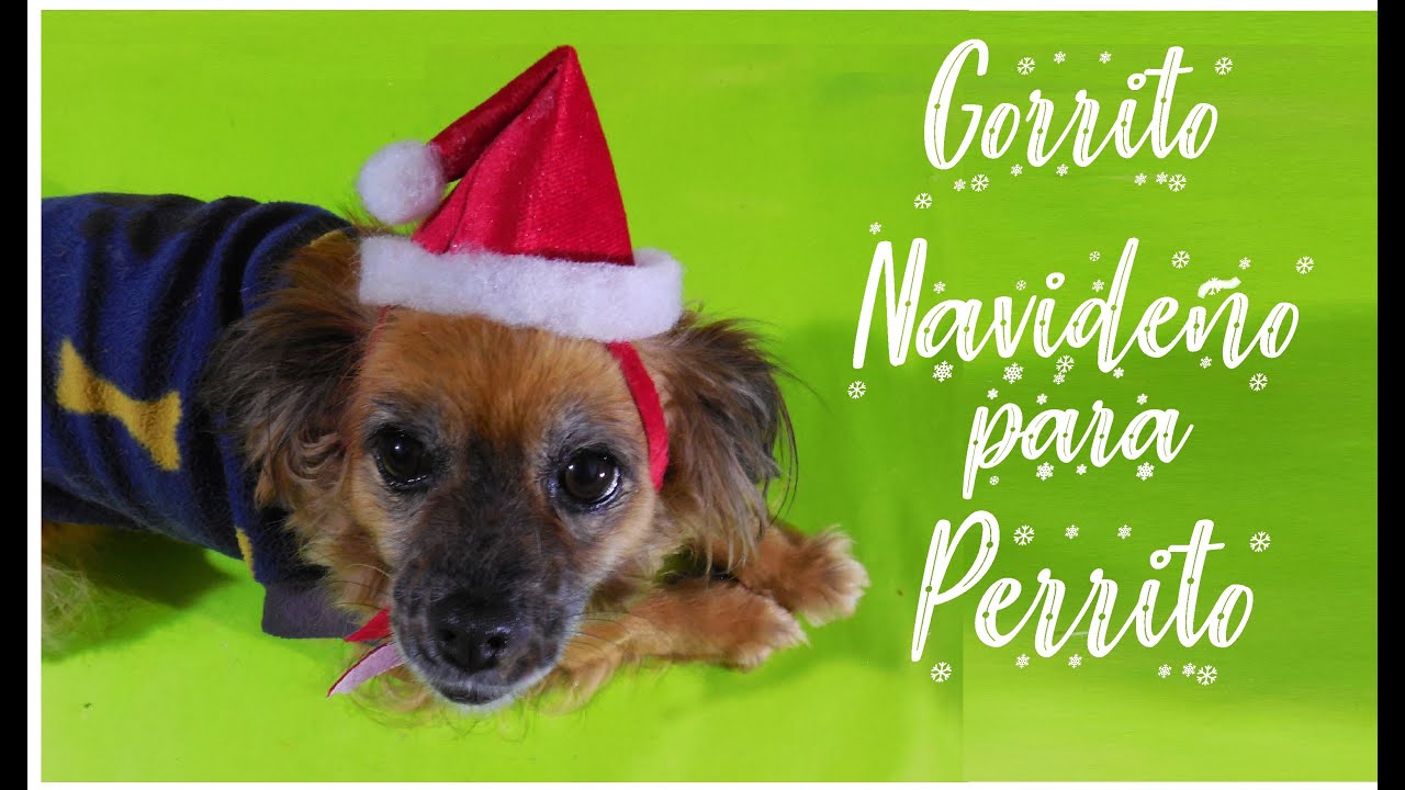 Gorrito de Navidad para PERRITO o GATITO