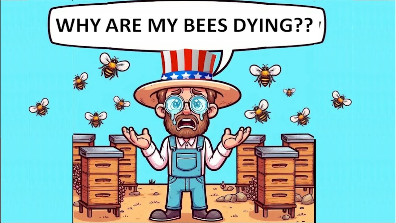 Why Are Honey Bees Dying Now in the United States? | Beekeeping Crisis & Pollination Problems