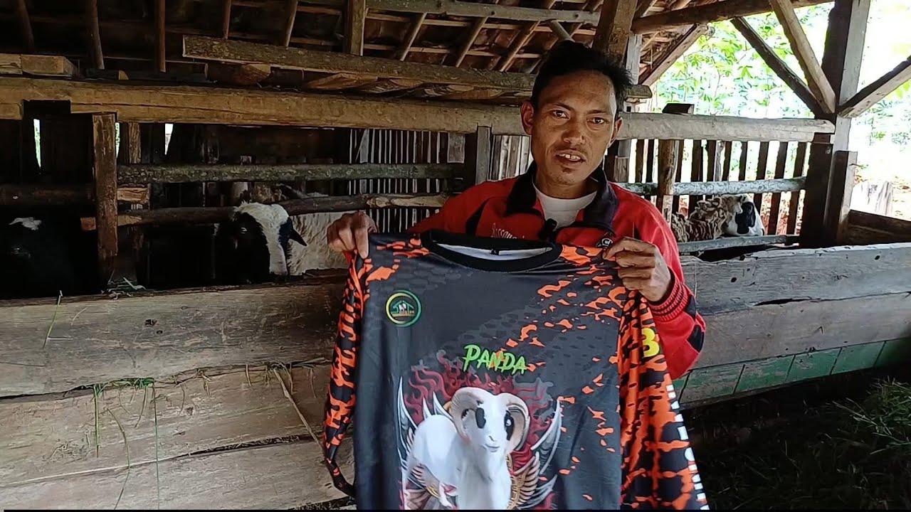 SEPASANG BAKALAN BREEDING DOMBA GARUT KE GUNUNGHALU BANDUNG BARAT
