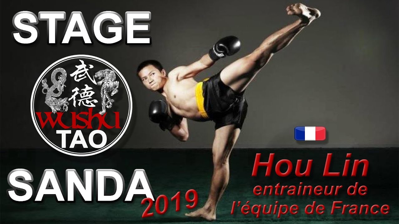 STAGE SANDA 2019 | Avec HOU LIN entraîneur de l'équipe de France | Wushu Tao