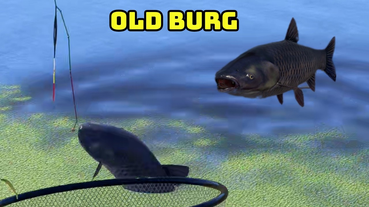 Amury na spławik  Old Burg (525) #carp  Russian Fishing 4
