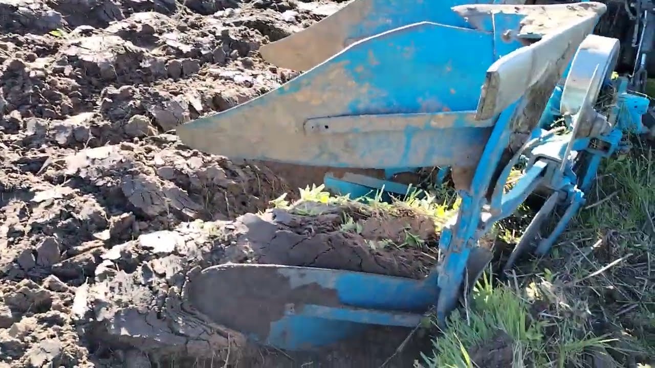оранка оборотним цілини