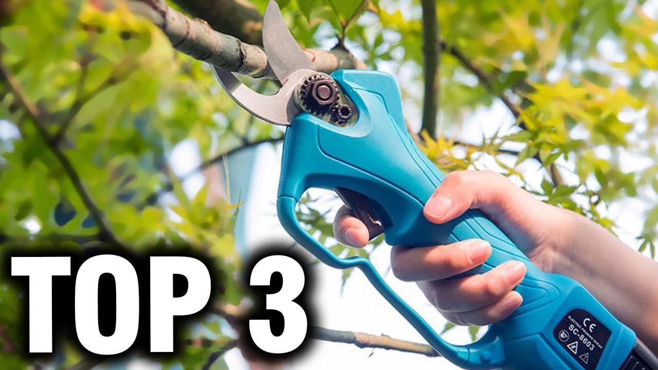 TOP 3 : Meilleur Sécateur Électrique pour une Coupe Sans Effort !