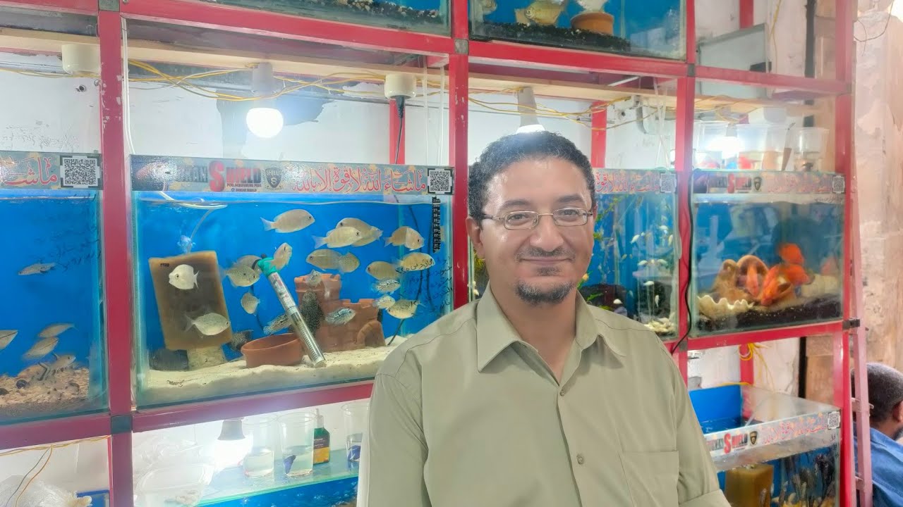 دكان شيلد الجديد كل موجود من داخل سوق الجمعه بالسيدة عائشة اشرس انواع اسماك الزينه الجزء الاول 📢