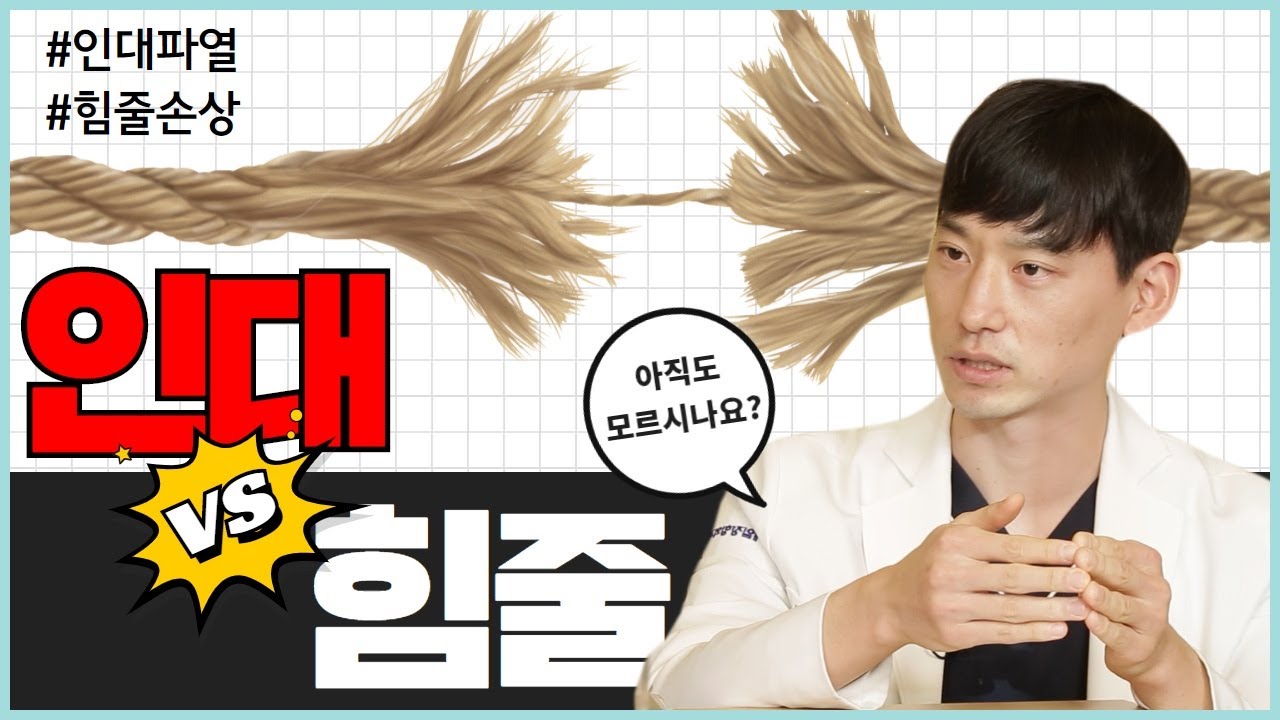 많은 사람들이 잘 모르는 인대와 힘줄 차이점. 의외로 모르시는 분들을 위해서 준비했습니다!! 혼용하지 마세요!
