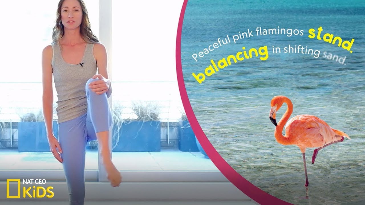 Yoga Animals: Balance like a Flamingo | Book Club