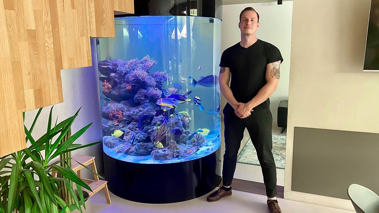 GERMAN REEF TANKS - private 1000 gallon 