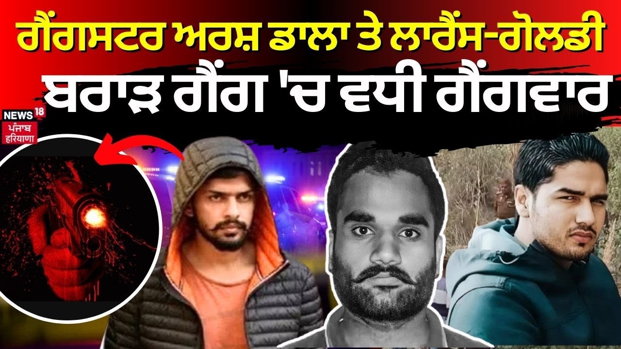 Gangster Arsh Dala  ਤੇ Lawrence-Goldy Brar gang 'ਚ ਵਧੀ ਗੈਂਗਵਾਰ | Punjab News |  N18V