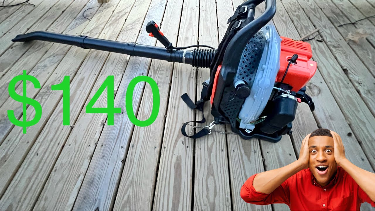 I bought the cheapest backpack gas powered leaf blower on amazon