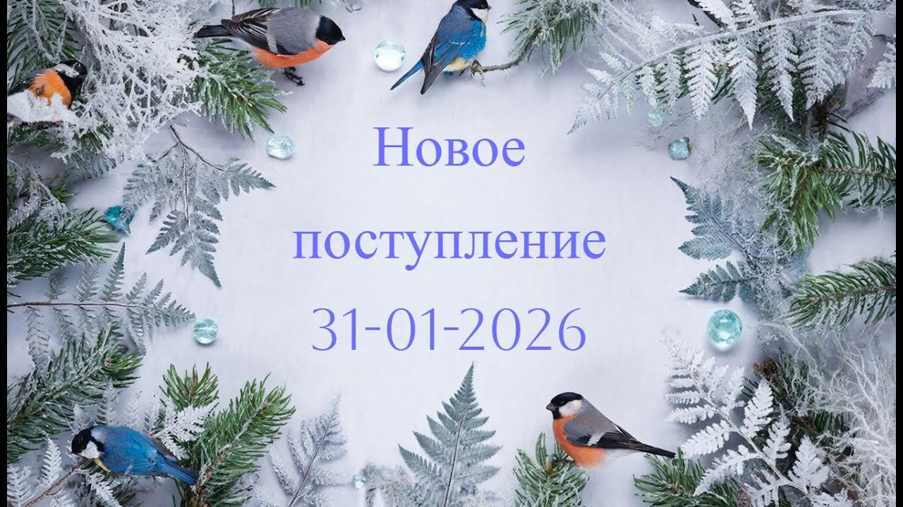 Новое поступление  31-01-2026