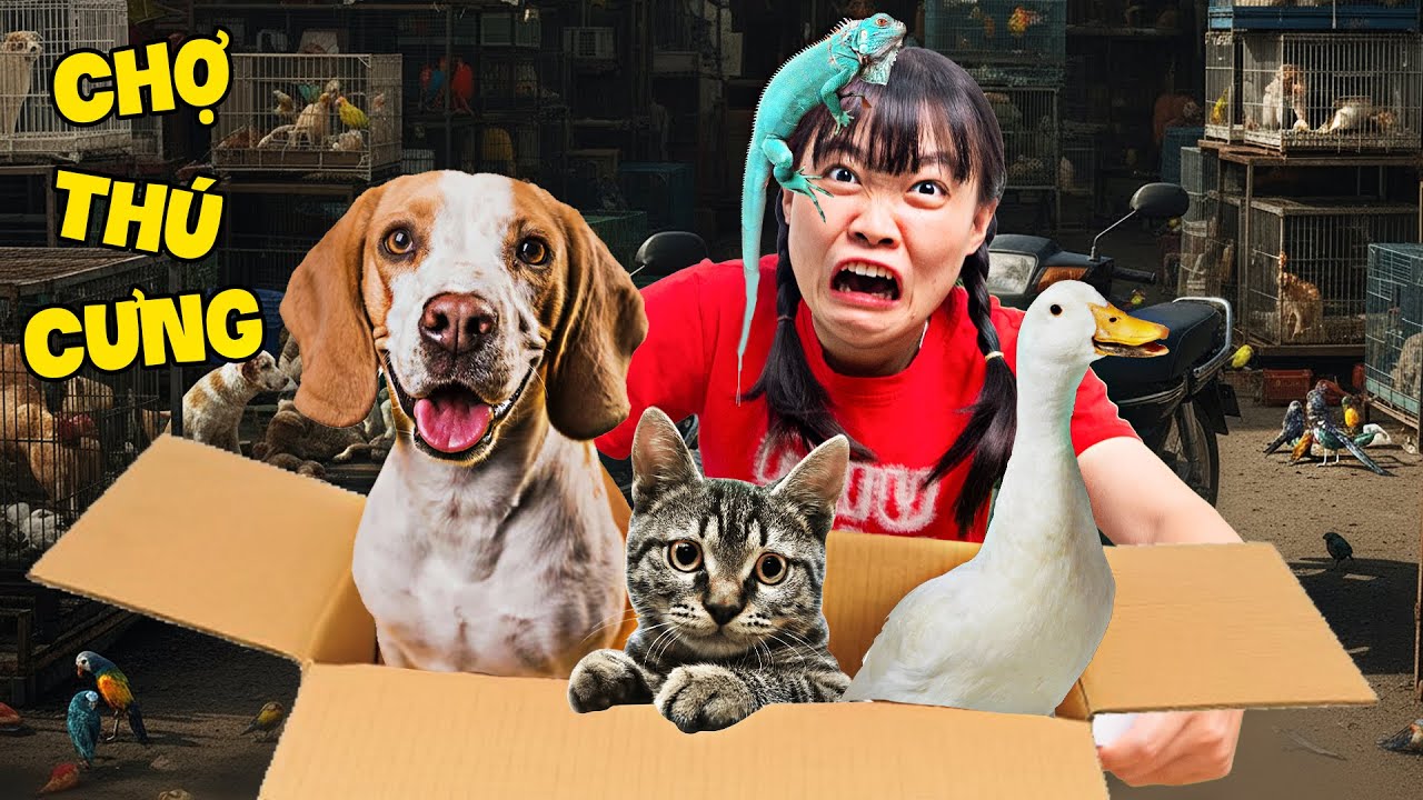 Hà Sam Thử Thách Đi Chợ Thú Cưng | Toàn Con Vật Dễ Thương