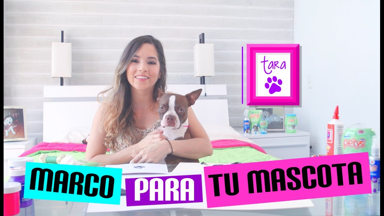 DIY ¡¡Decora tu cuarto con tus mascotas!! 🐱🐶 Nanny by Nosotras