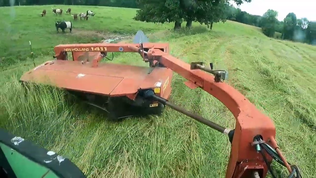 Spring Hay 2024