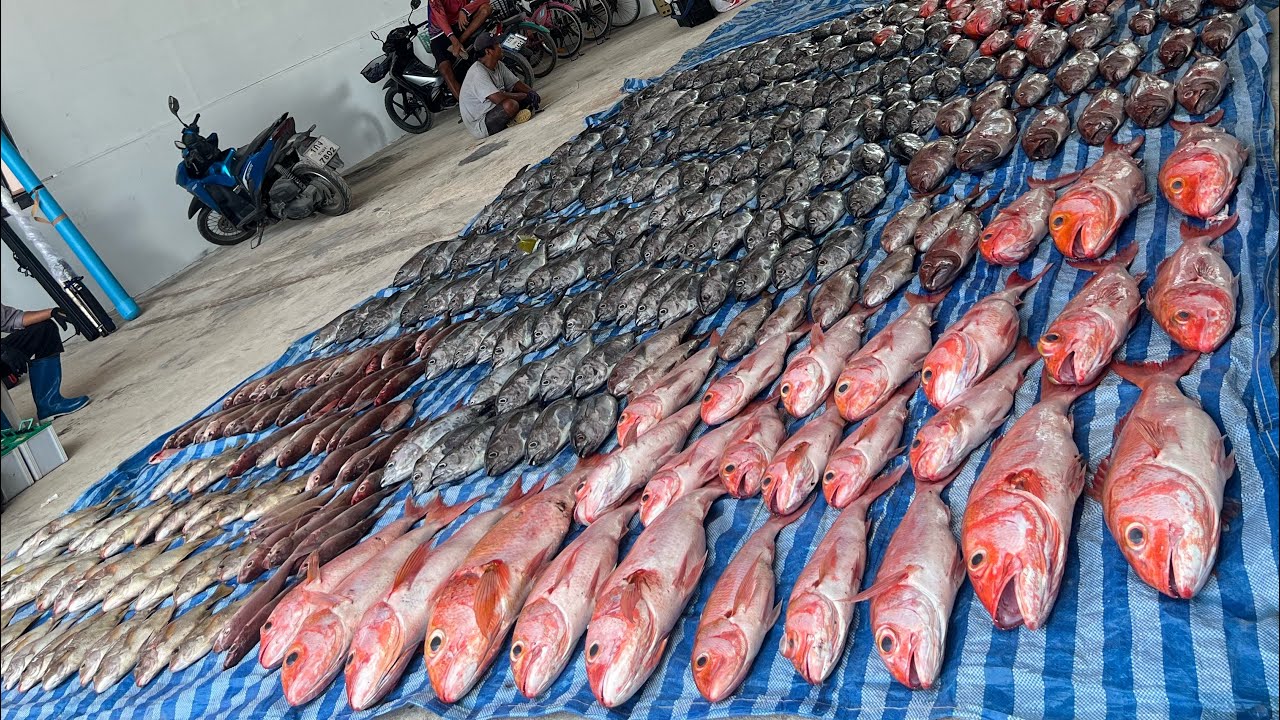 ทริปตกปลาพม่า ตามล่ามอนสเตอร์น้ำลึก