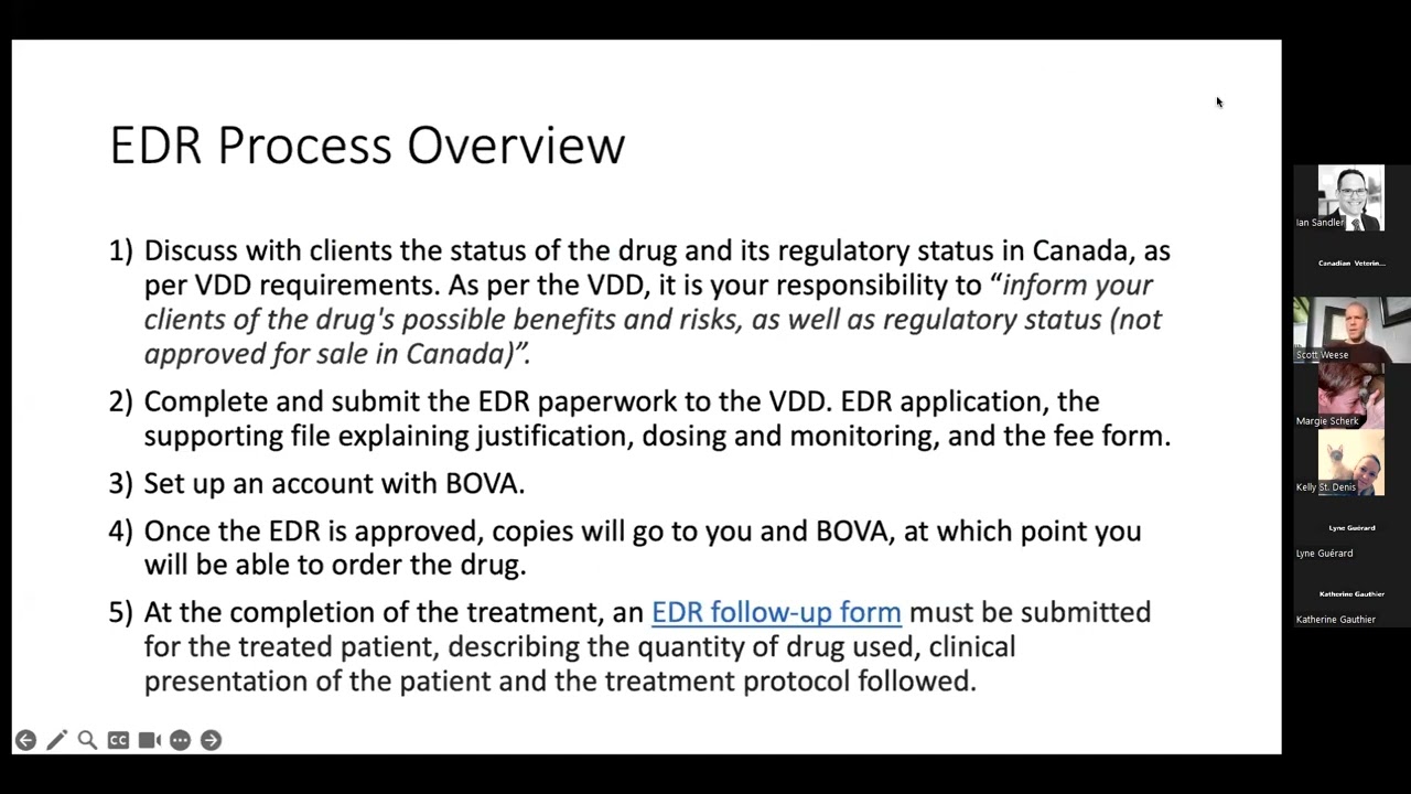 Treatment of Feline Infectious Peritonitis (FIP): Legally Accessing and Using Antivirals