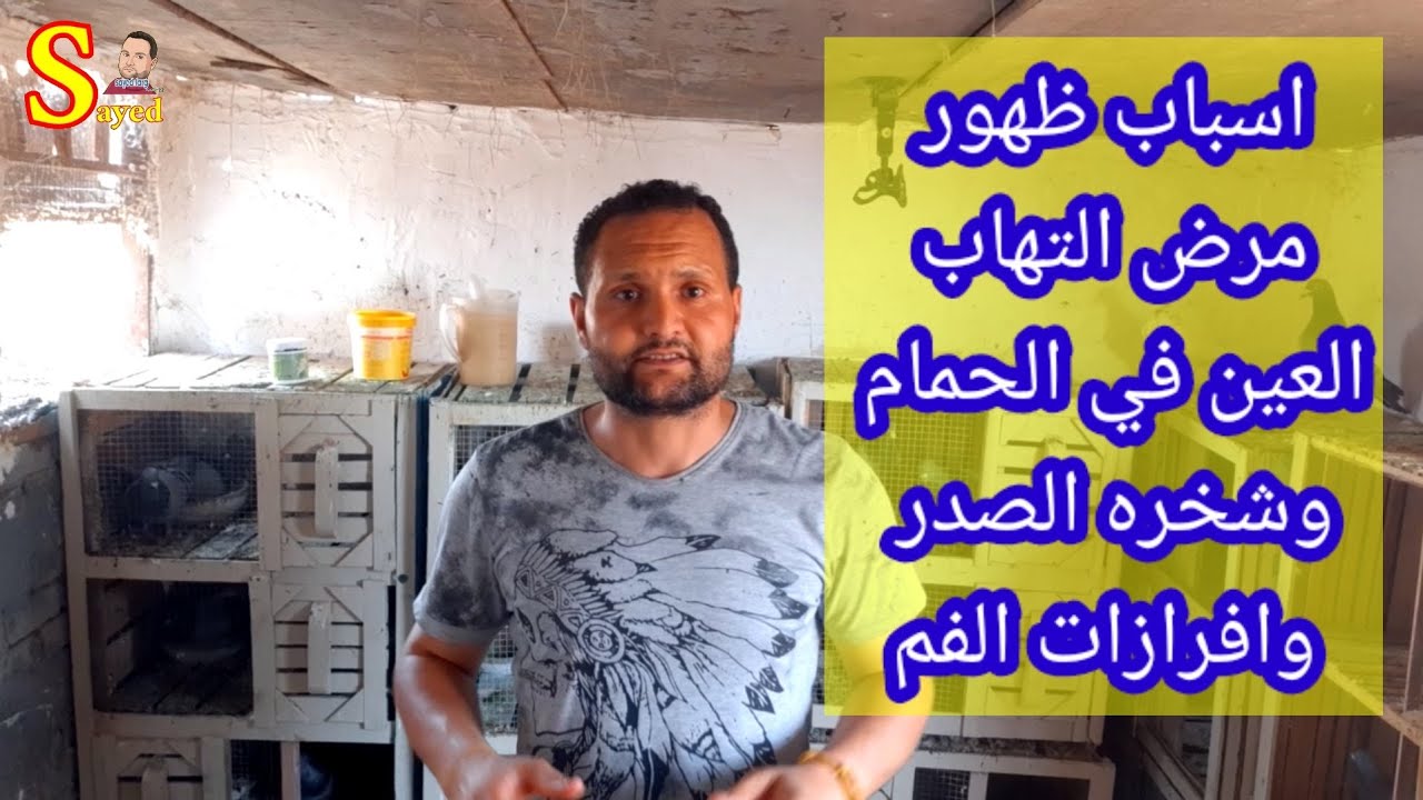 تعرف علي اسباب مرض#الحمام عينه بتورم وتلتهب #الحمام عنده برد #وشخره في صدره#الحمام كاشش ومانع اكل