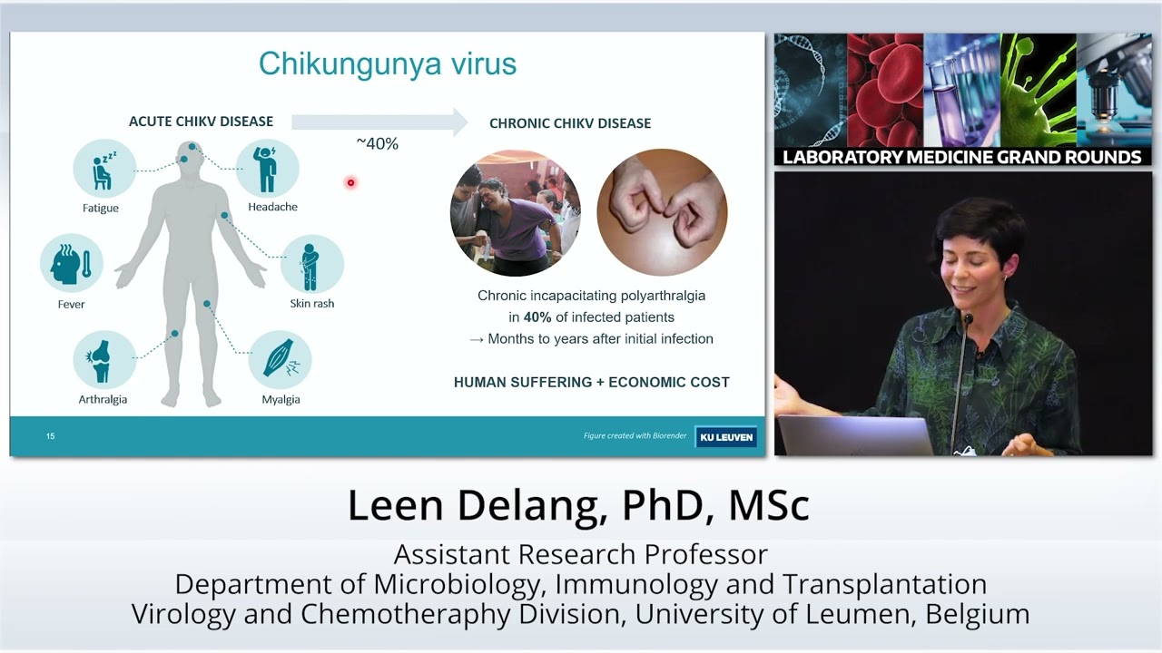 Strategies to control mosquito-borne virus infections