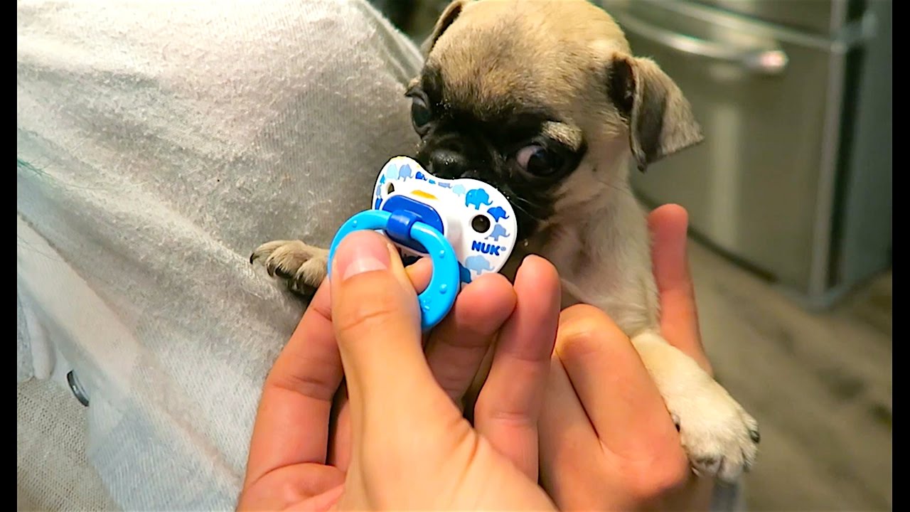 A BABY AND HIS PACIFIER!!