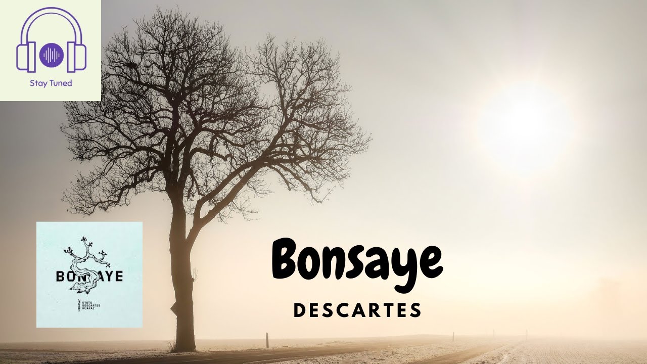 🔘Bonsaye - Descartes🔘