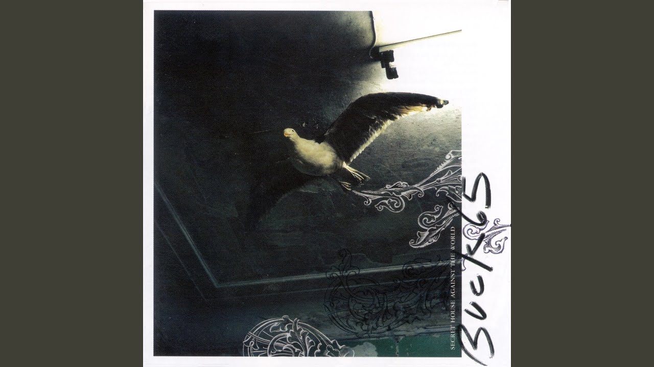 Surrender to Strangeness