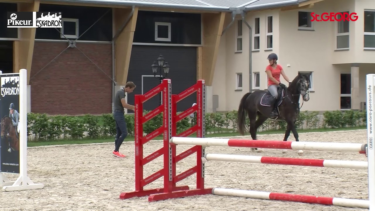 Training des jungen Springpferdes mit Christian Kukuk