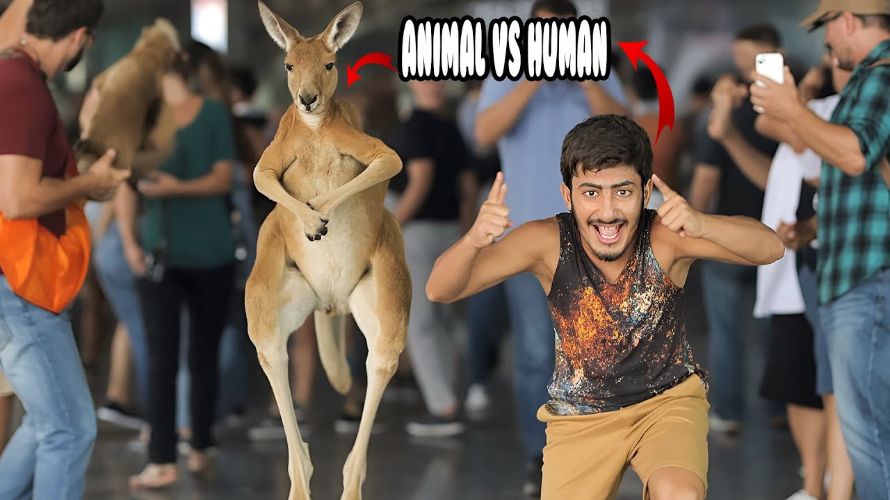 I Learned To Walk Like Animals🔥🐾 میں نے جانوروں کی طرح چلنا سیکھا (Shocking Results!)