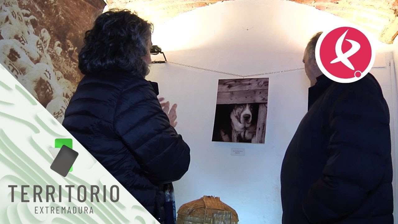 Unidos por la fotografía en el Casar de Cáceres | Territorio Extremadura