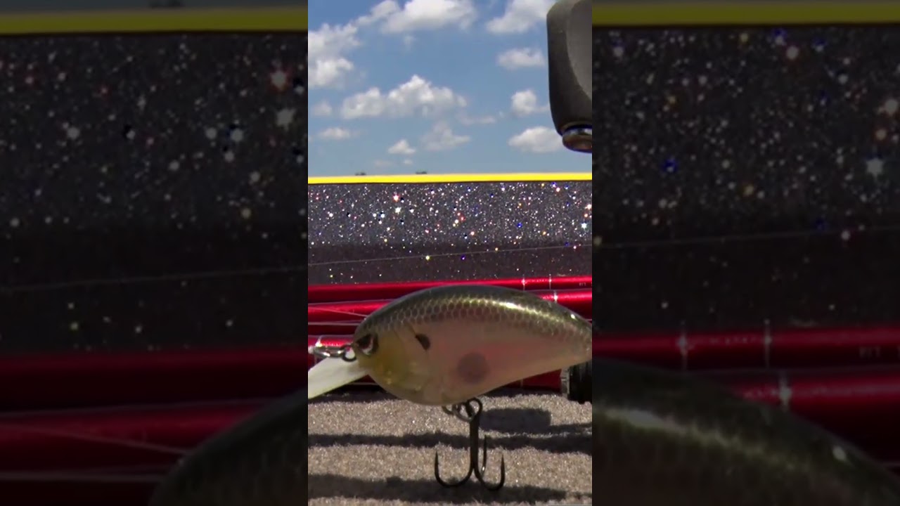 WHAT'S YOUR FAVORITE BAIT TO TIE ON FOR BASS FISHING?! #teamoutdoors #bassproshops #spro #fishing