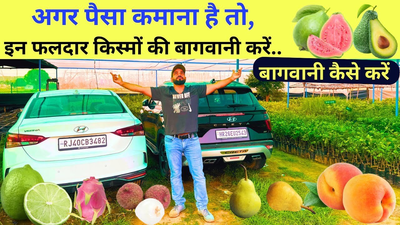बाग़वानी से अच्छा लाभ कमाना है तो, ये वीडियो आपके लिए ही है। ​⁠@Jaihindnursery #jhn
